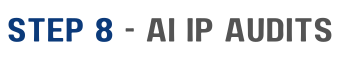 AIIPA Step 8 AI IP Audits Assets Opportunities Competitors Litigation Regulation Infringement